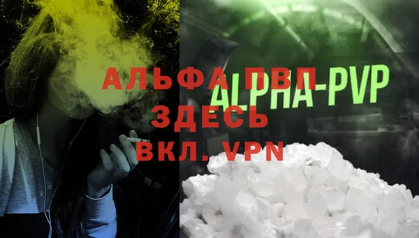 молекула духа Иннополис