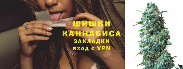 молекула духа Иннополис