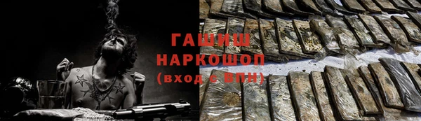 мдпв Инта