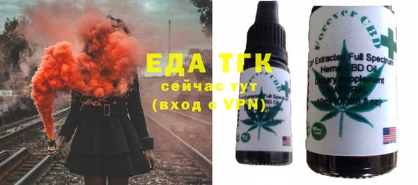 мдпв Инта