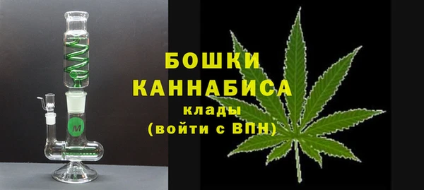 молекула духа Иннополис