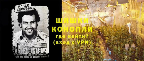мдпв Инта
