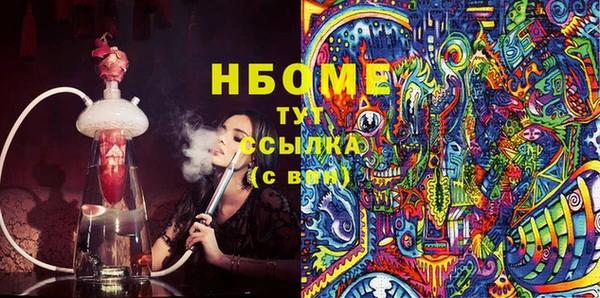мдпв Инта