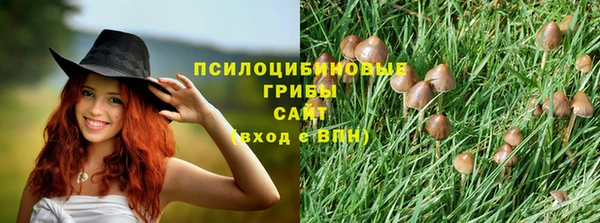 мет Инсар