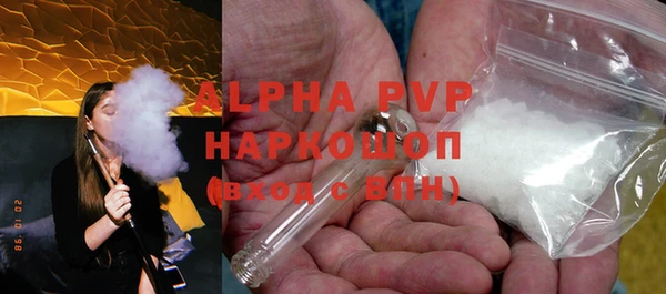 мдпв Инта