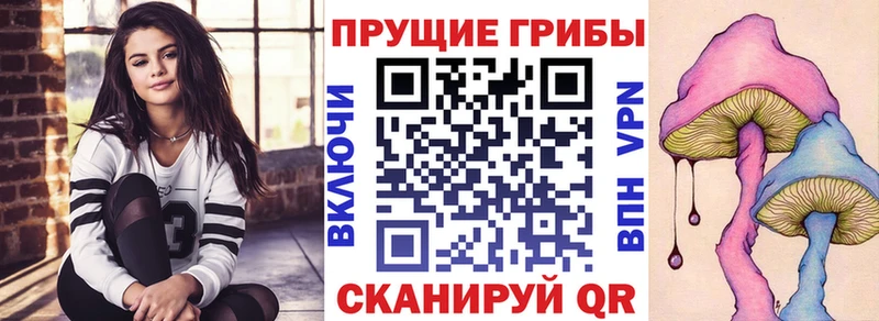 Псилоцибиновые грибы Psilocybine cubensis  Купить где  Воркута 